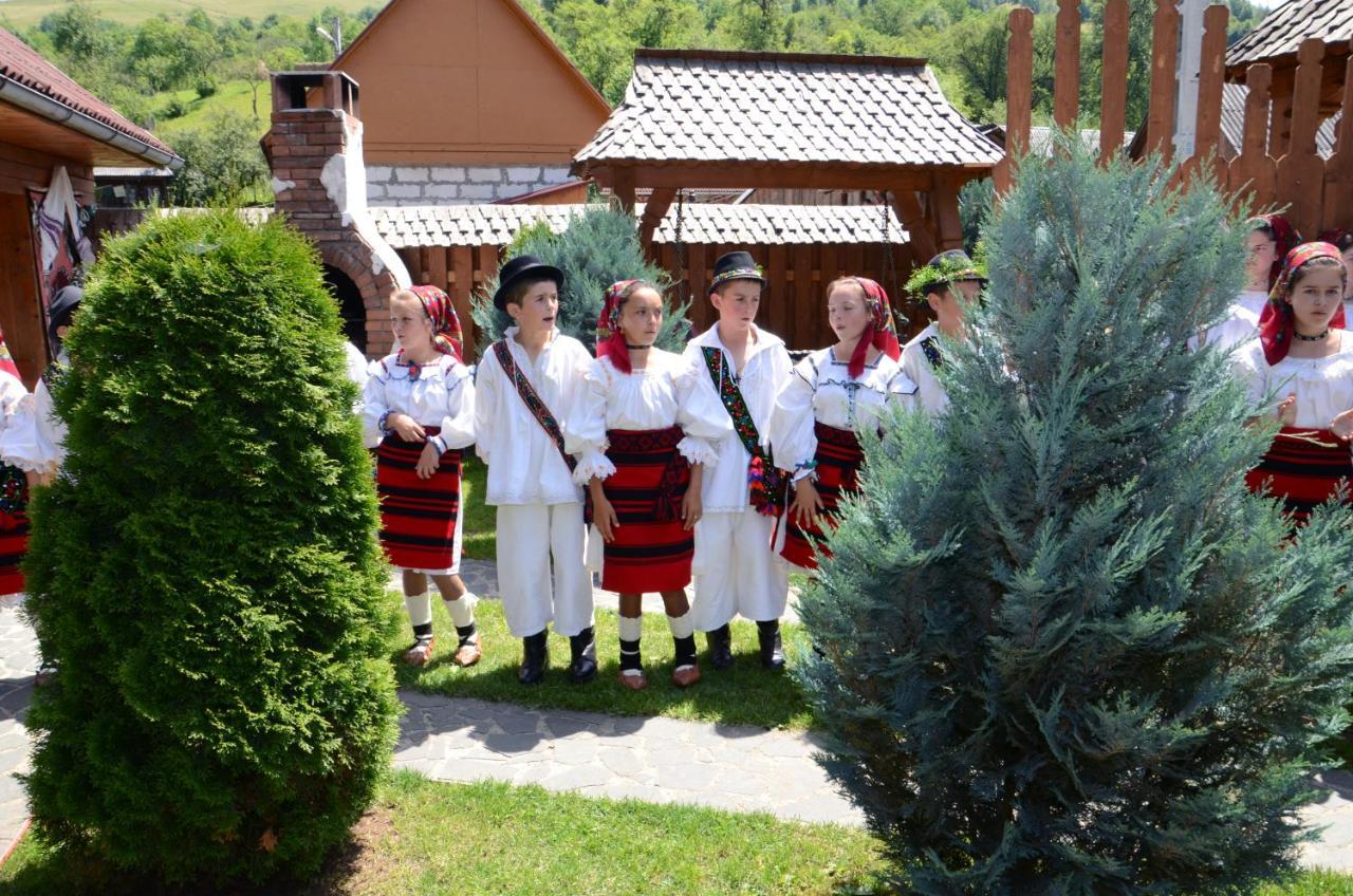 Pensiunea Cretuca Botiza Екстериор снимка